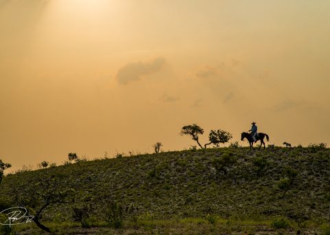 Cabalgando en la Llanura