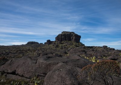 Pico Maverick Roraima WEP